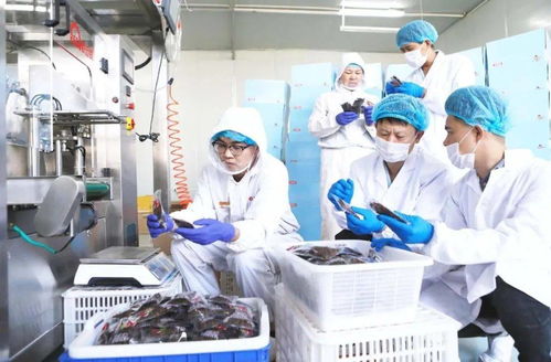 不是吧，食品檢測技術(shù)都這么先進(jìn)了嗎？生物技術(shù)推廣服務(wù)直擊行業(yè)痛點(diǎn)